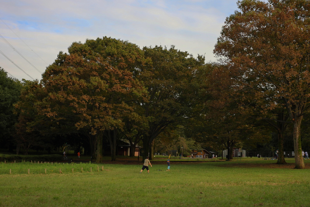 夕方まで特訓中