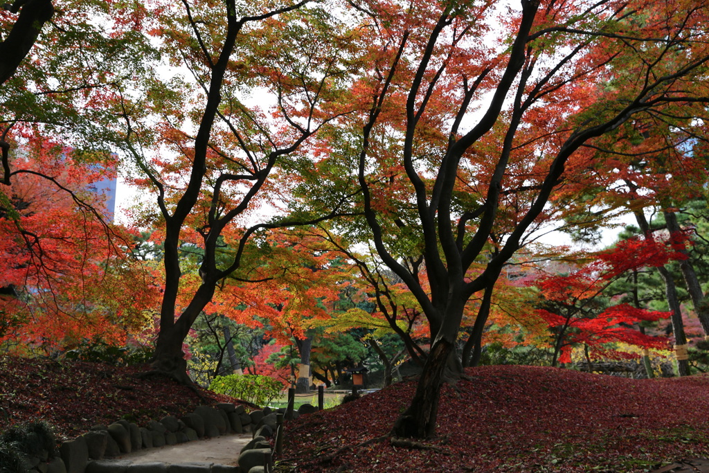 小石川後楽園 (2)