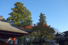 高尾山 　紅葉 (4)