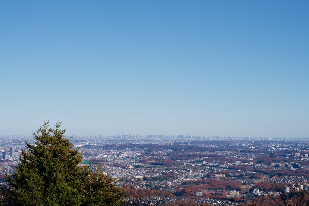 スカイツリー　が見えるかな