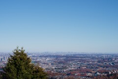 スカイツリー　が見えるかな