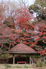 小石川後楽園　東屋