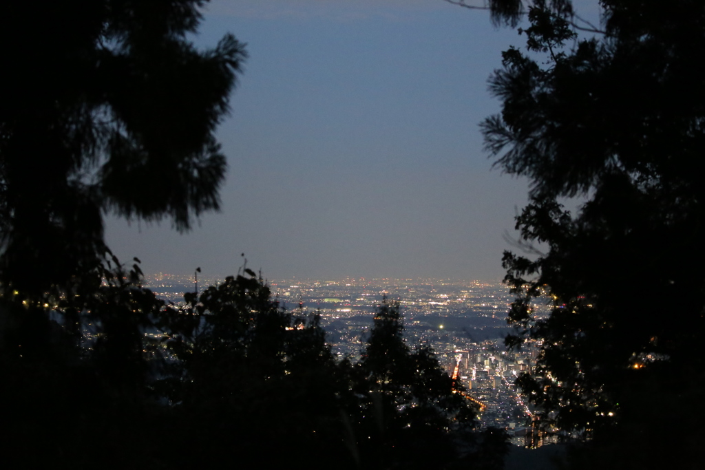 東京夜景　高尾山頂より