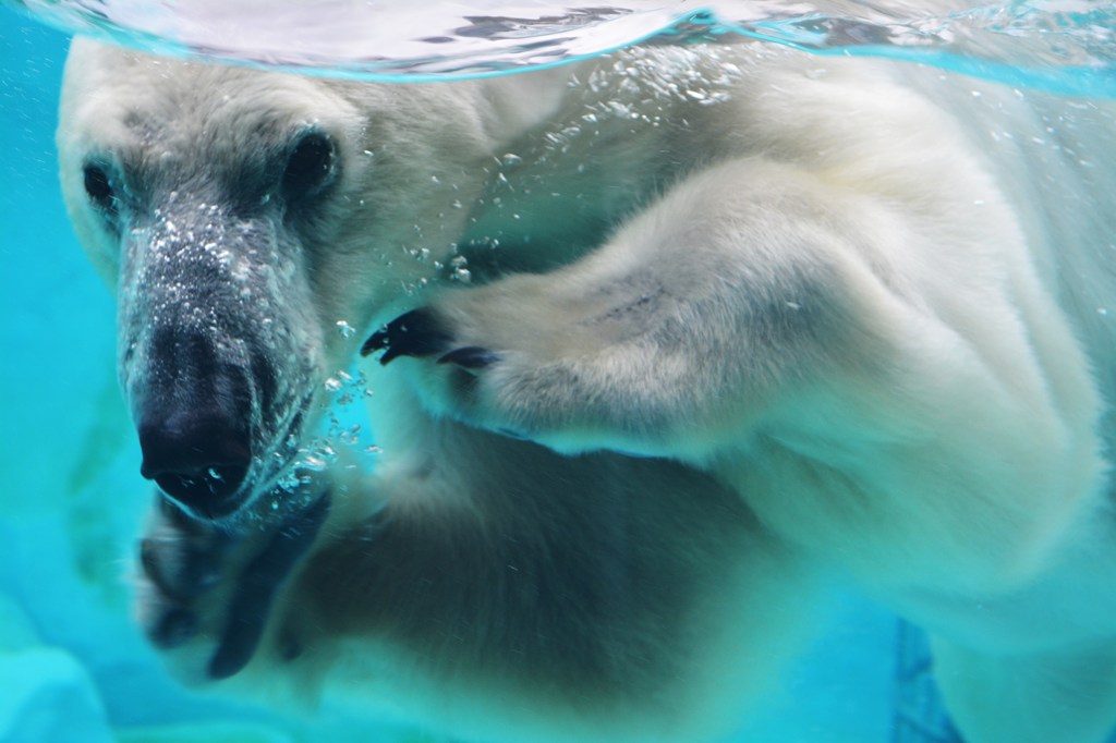 Playing IN Water