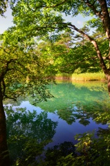 神秘の沼