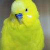 あなた、だれ？