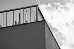 DSC00350
