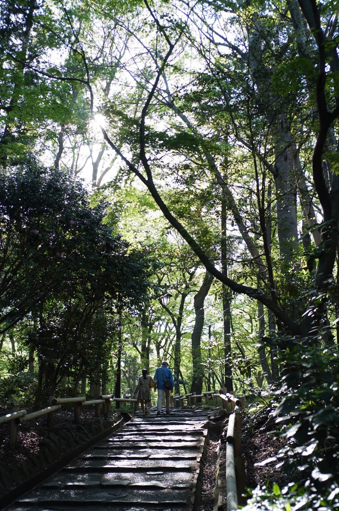 井の頭公園