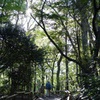 井の頭公園