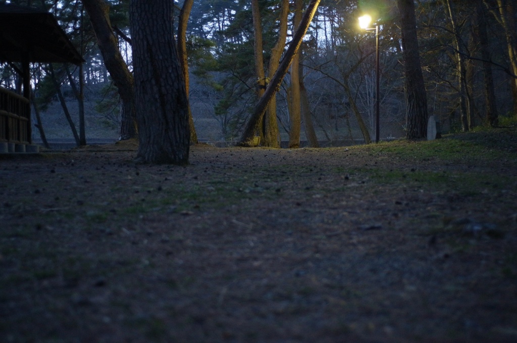 薄暗い公園でテスト撮影