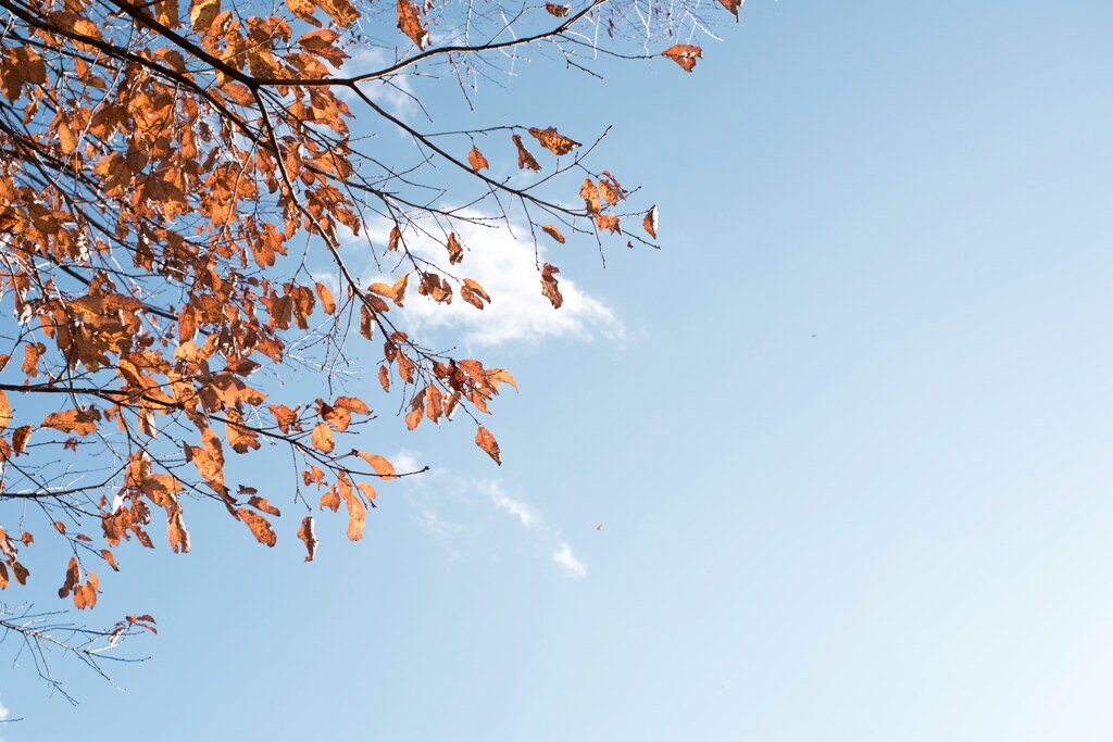 秋空