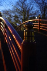 薄暗い公園でテスト撮影 その4