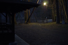 薄暗い公園でテスト撮影 その3