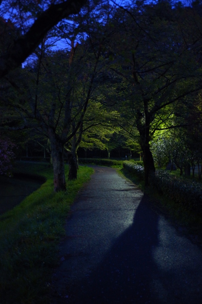 公園散歩