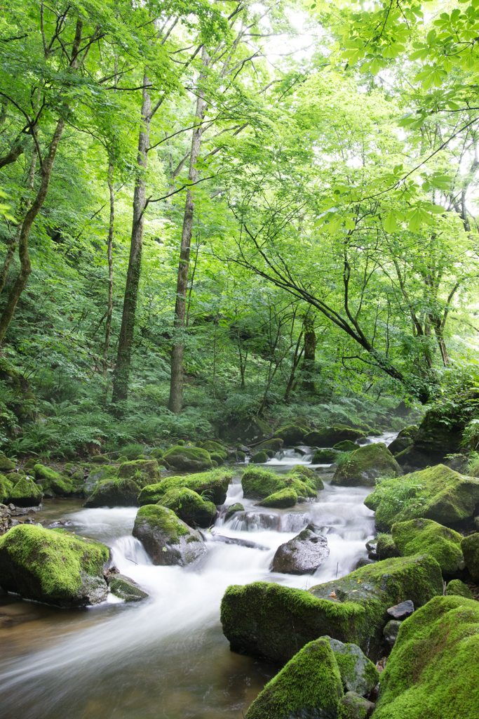 大内宿近くの渓流