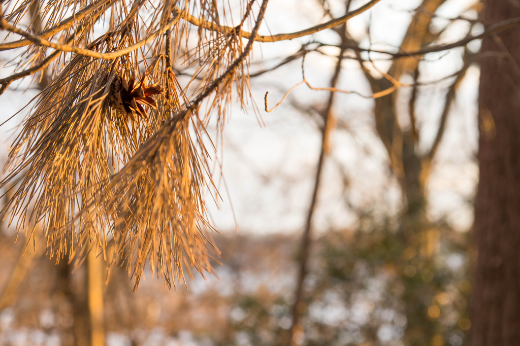 栃木県黒磯町 その１