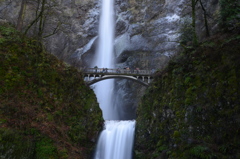 DSC_0403