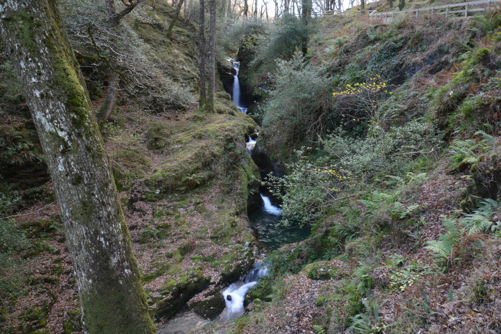 アイルランド　グレンダロッホ地方