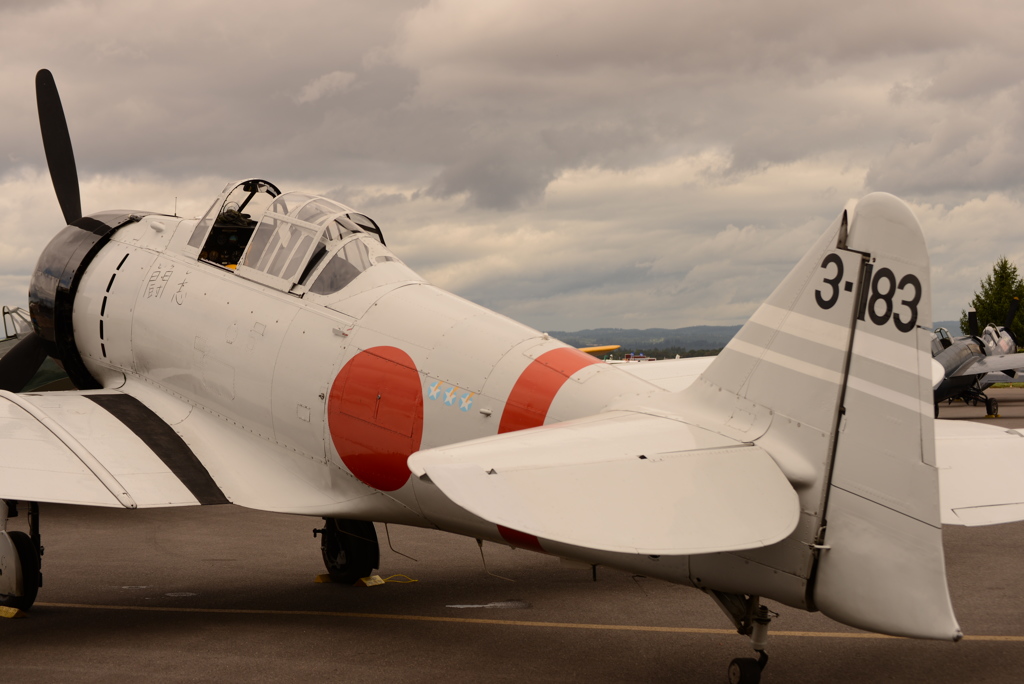 20160807 Air Show in Portland USA