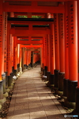 Fushimi inari shrine