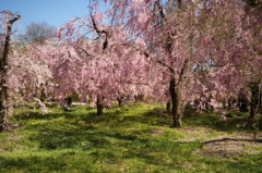EPSN0753