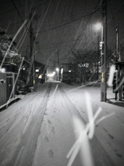 雪　snow