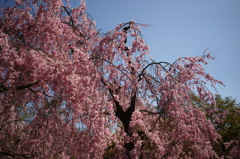 EPSN0776