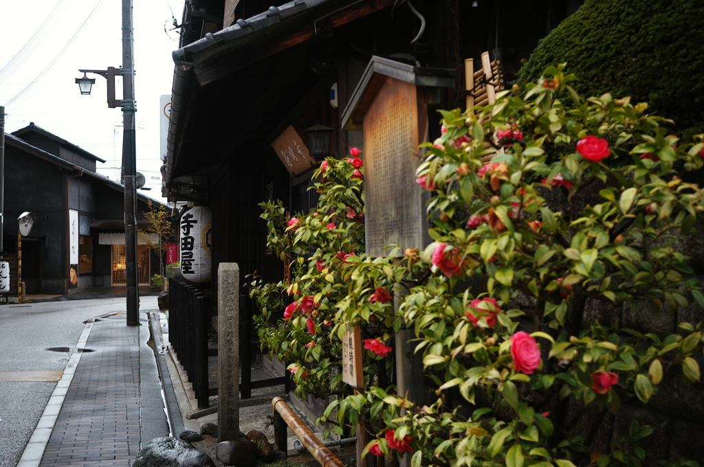 寺田屋２