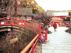 下鴨神社の桟橋
