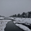 雪の鴨川