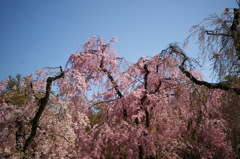EPSN0802