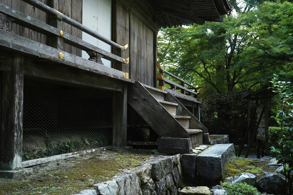 EPSN0096