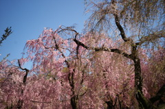 EPSN0799