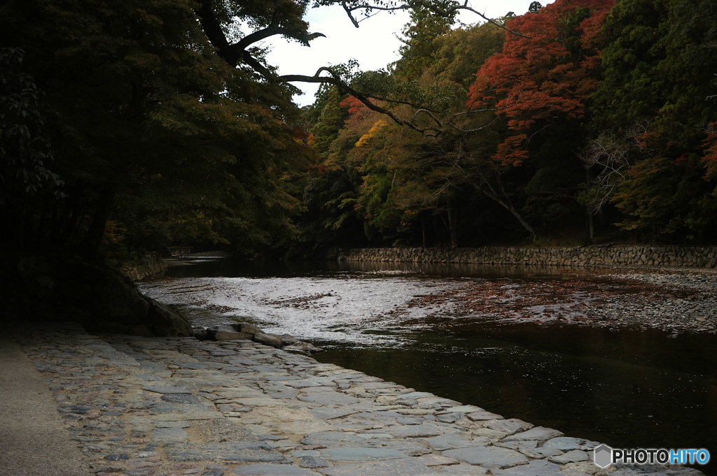 五十鈴川