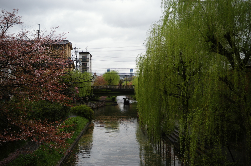 小川