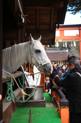 お忙しい神馬様