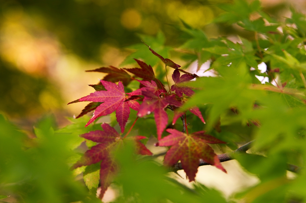 はじめまして。