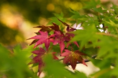 はじめまして。