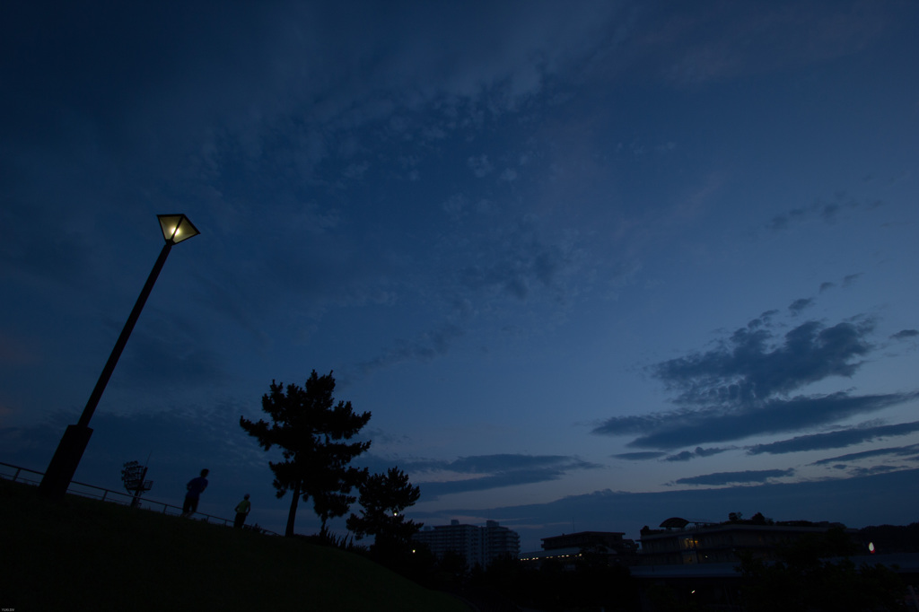 夜に向かう