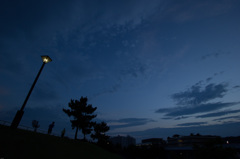 夜に向かう