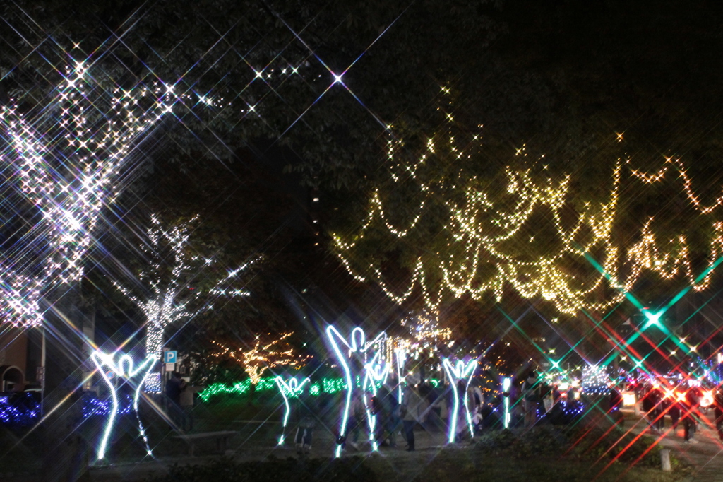 2013.11.24 168