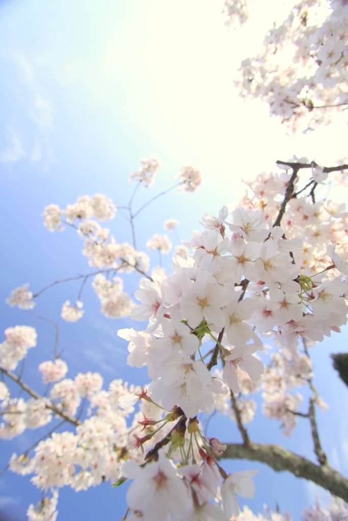 晴天