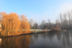 university of york