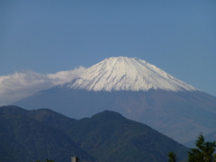 昼の富士