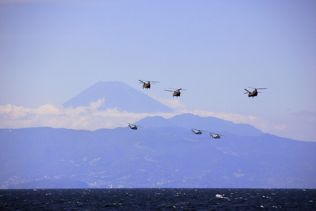 海上自衛隊艦観式