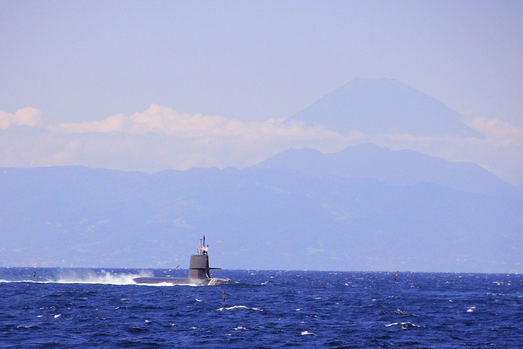 海上自衛隊艦観式