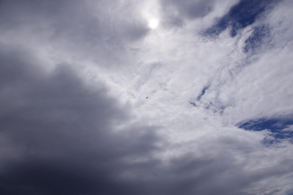 空が綺麗