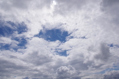 空に舞う