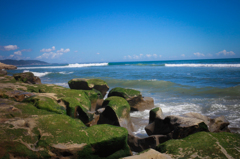 海