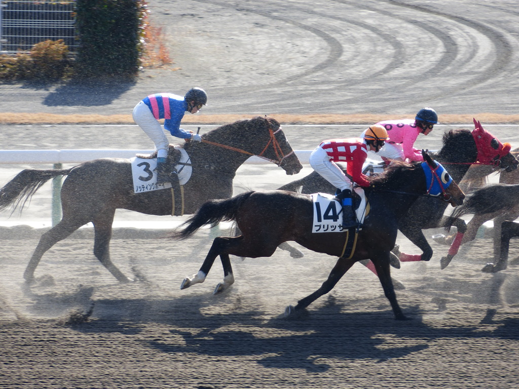 中京競馬 ダート